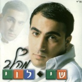 אהבה אמיתית artwork