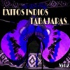 Éxitos Indios Tabajaras, Vol. 2