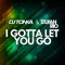 I Gotta Let You Go (DJ Tonka Club Mix) artwork