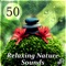 Soundscapes (Relaxing Music) - Calming Music Sanctuary lyrics