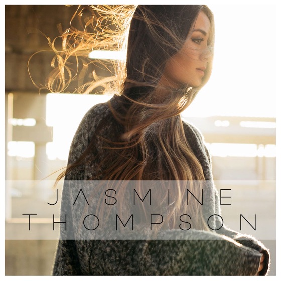 Cover artwork for I Will Follow You Into the Dark