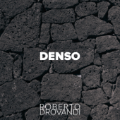 Denso - Roberto Drovandi