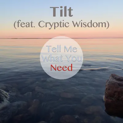 Tell Me What You Need (feat. Cryptic Wisdom) - Single - Tilt
