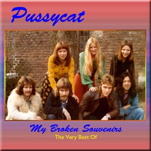 Pussycat - My Broken Souvenirs - 排舞 音樂