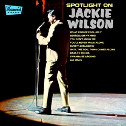 Spotlight On Jackie Wilson - Jackie Wilson