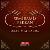 Ararım Sorarım artwork