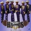 Los Halcones de San Luis - Caballos Famosos