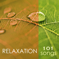 Spa Music Relaxation Meditation - Relaxation 101 - Tibetan Chakra Meditation Music 4 Massage, Reiki & Deep Sleep Songs, Relaxing Nature Sounds artwork