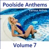 Poolside Anthems, Vol. 7