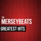 Mr. Moonlight - The Merseybeats lyrics