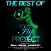 The Best of Fly Project artwork