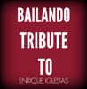 Bailando (In the Style of Enrique Iglesias, Sean Paul, Descemer Bueno & Gente de Zona) [Karaoke Version] - Starstruck Backing Tracks