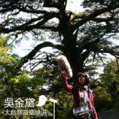 The Best Nature Sounds Music of Taiwan - Wu Judy Chin-tai