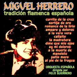 Tradición Flamenca Española - Miguel Herrero Tradición Flamenca Española - Miguel Herrero