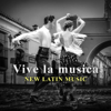 Vive la música: New Latin Music – Song for Bachata, Merengue, Salsa, Hot Latin Rhythms, Latin Jazz - World Hill Latino Band