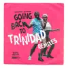 Going Back to Trinidad Remixes - EP album lyrics, reviews, download
