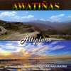 Altiplano, 2007