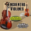 Encuentro De Violines