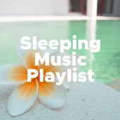 Sleeping Music Playlist: Natural Insomnia Remedy to Sleep Well and Soundly, Meditation and Relaxation Music artwork