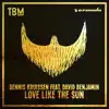 Love Like the Sun (feat. David Benjamin) - Single album lyrics, reviews, download