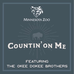 Countin' on Me (feat. The Okee Dokee Brothers) - Single
