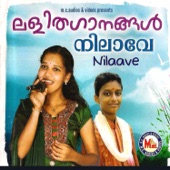 Nilaave Nilaave artwork