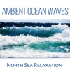 Ambient Ocean Waves: North Sea Relaxation, Yoga Music & Meditation, Crushing Waves, Seagulls, Nature & Liquid Sounds to Calm Down