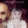Adevar Sau Minciuna (feat. Nicoleta Nuca) - Single