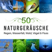 50 Naturgeräusche - Regen, Wasserfall, Wald, Vögel & Fluss für Yoga Meditation Musik, Muskelentspannung mit Entspannungstechniken artwork