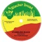 Stumbling Block (feat. Freddie McGregor) - Buju Banton lyrics