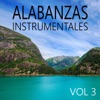 Alabanzas Instrumentales, Vol. 3