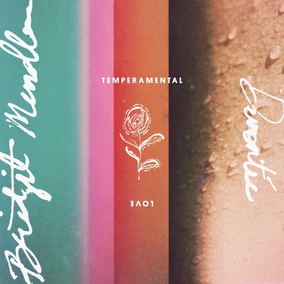 Cover artwork for Temperamental Love