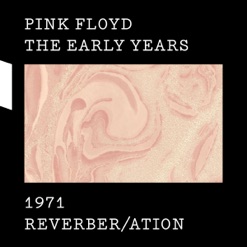 THE EARLY YEARS 1971 - REVERBER/ATION cover art