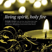 Haas: Living Spirit, Holy Fire, Vol. 2 artwork