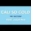 Stream & download My Section (feat. Jazze Pha) - Single