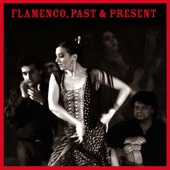 Flamenco, Past & Present artwork