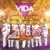 Zertero Musical - Voy a Danzar