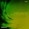 Stream & download Would I Lie to You 2017 (Remix EP)