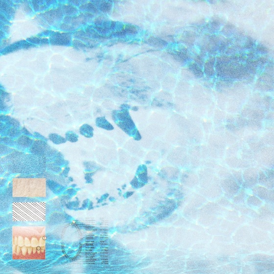 Cover artwork for Fangs