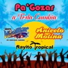 Pa' Gozar A Toda Cumbia