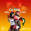 Dance Calypso (feat. Lyrikal) - Single album lyrics, reviews, download