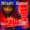 Babur Comes to India - Niladri Kumar lyrics