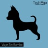 Viaje Sin Rumbo (feat. Gunther Robles)