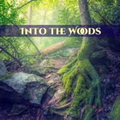 Into the Woods: Gentle Waterfalls to Calm Down, Relaxing Music, Birds Calls, Stress Free, Forest Ambience, Healing Rain Sounds artwork