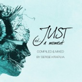 Just a Moment, Vol. 1 (Compiled & Mixed by Serge Kraplya) artwork