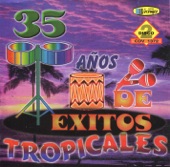 35 Años De Éxitos Tropicales 2