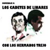 HOMENAJE A LOS CADETES DE LINARES