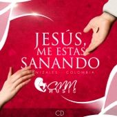 Pasa Sanando Mi Vida (Bonus Track) [feat. Andrés Correa Echeverri] artwork