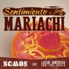 Sentimiento Mariachi artwork