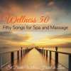 Wellness 50 – Fifty Songs for Spa and Massage